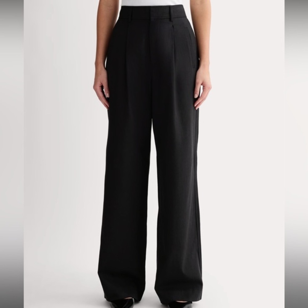 Everlane the put together pleat 10 short black wide leg work pant